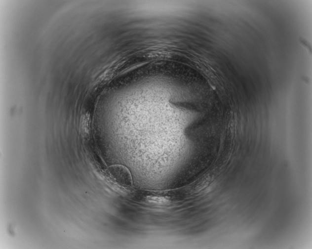 X0000099530649200805301441