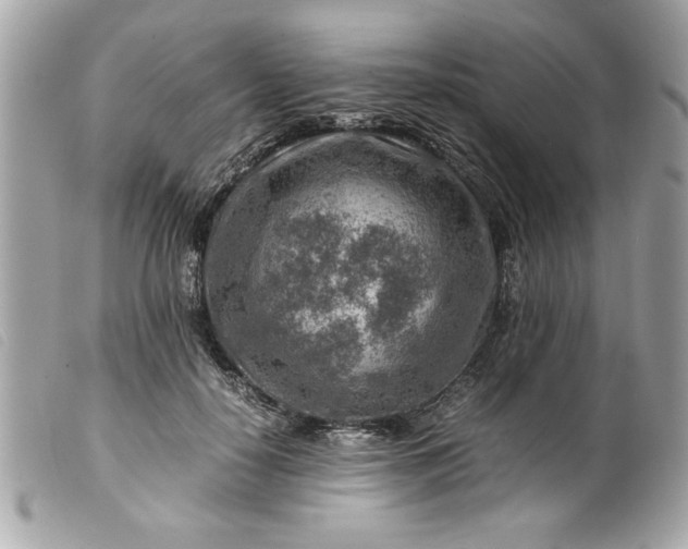 X0000099530650200805301441