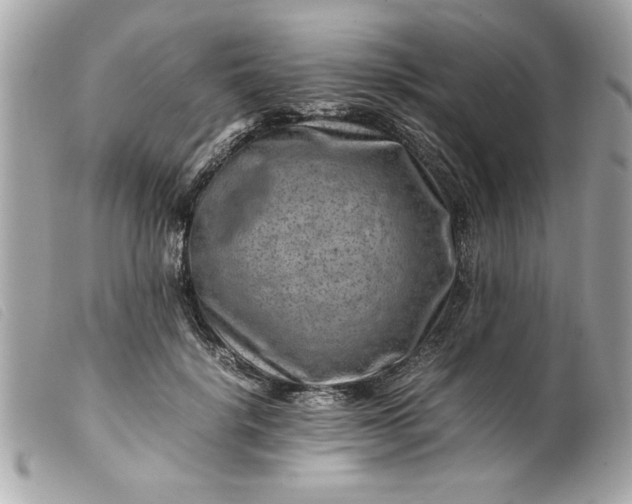 X0000099530652200805301441