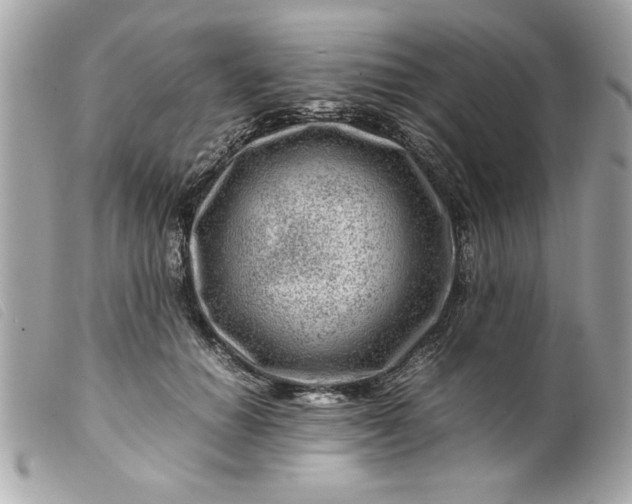 X0000099530654200805301441