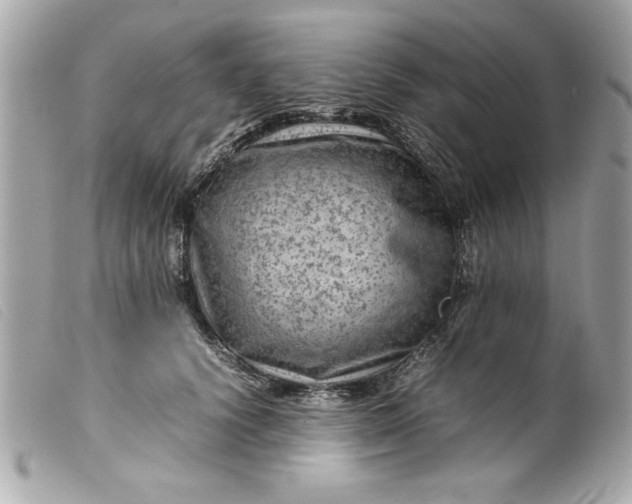 X0000099530656200805301441