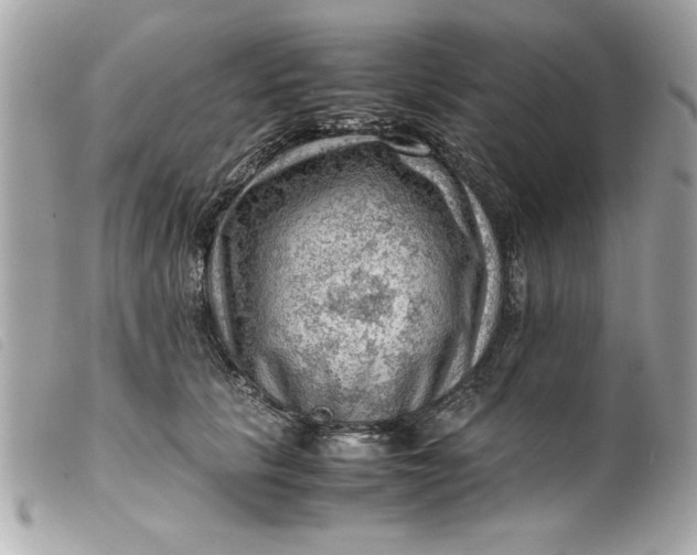 X0000099530657200805301441