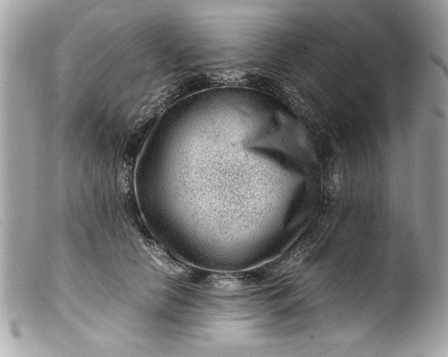 X0000099530658200805301441