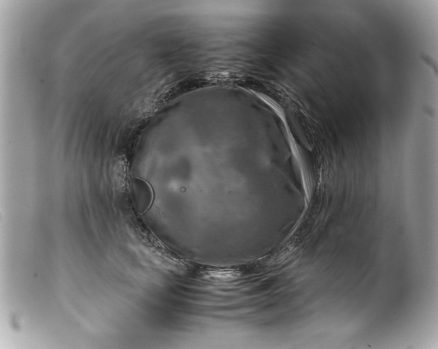 X0000099530659200805301441