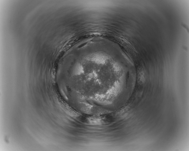 X0000099530661200805301441