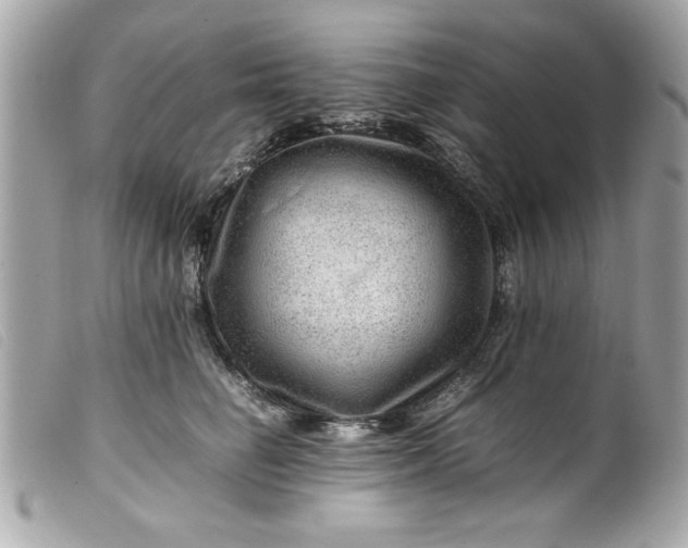 X0000099530662200805301441