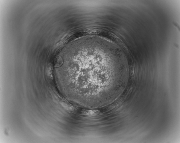 X0000099530663200805301441