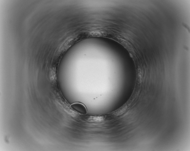 X0000099530665200805301441