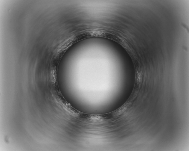 X0000099530666200805301441