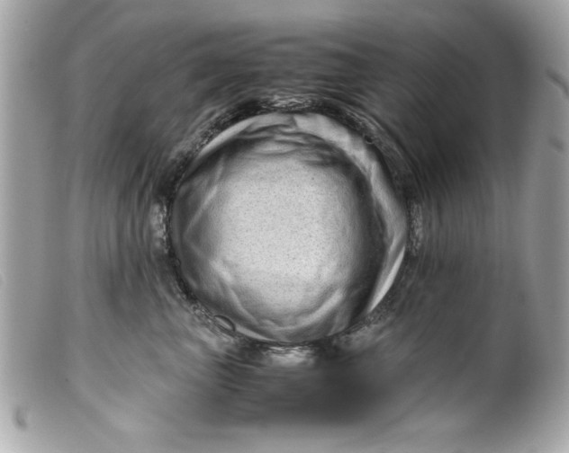 X0000099530667200805301441