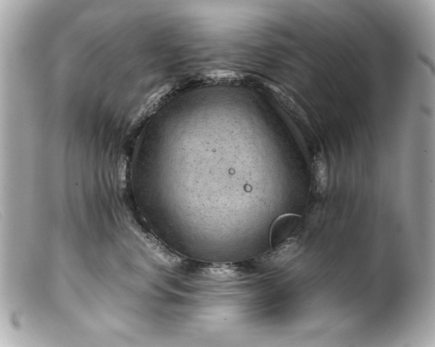 X0000099530668200805301441