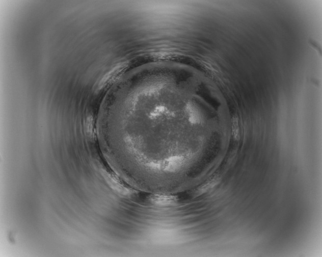 X0000099530670200805301441