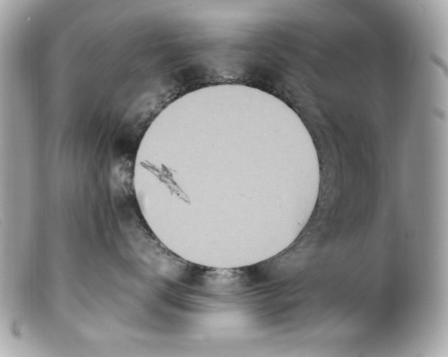 X0000099530672200805301441