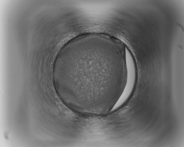 X0000099530673200805301440