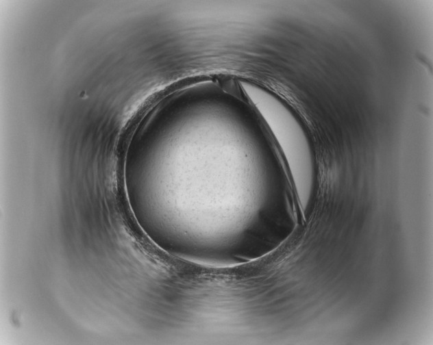 X0000099530676200805301440