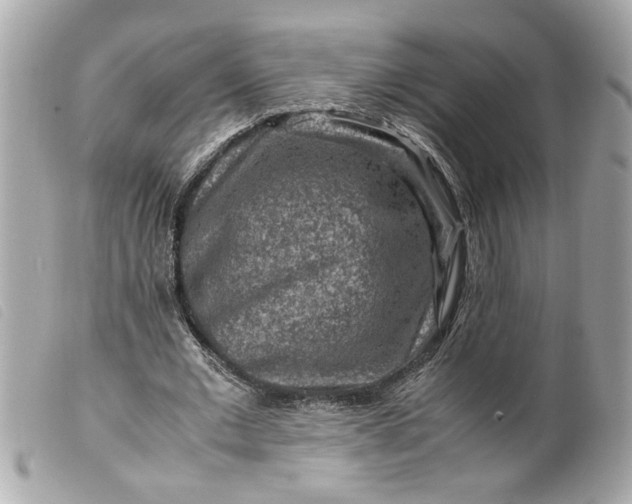 X0000099530677200805301440