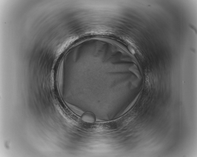 X0000099530678200805301440