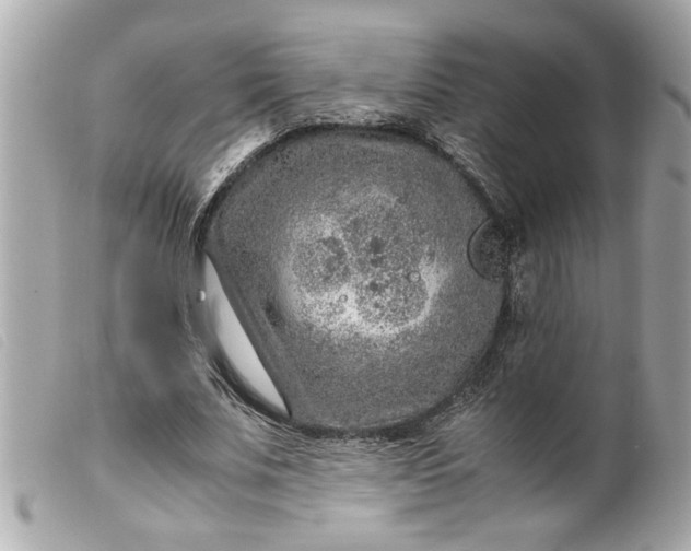 X0000099530679200805301440