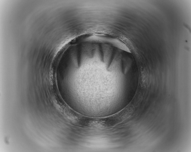 X0000099530680200805301440