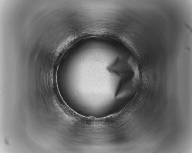 X0000099530682200805301440