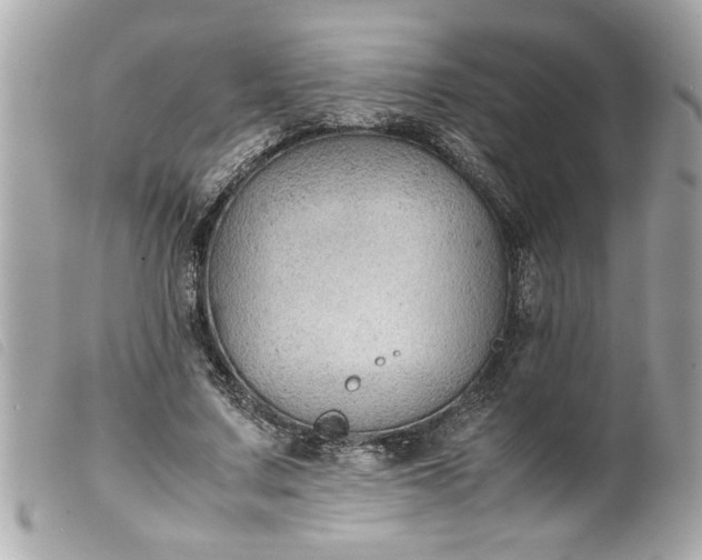 X0000099530683200805301440