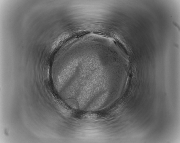 X0000099530685200805301440