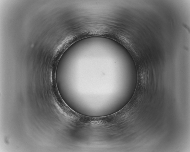 X0000099530686200805301440