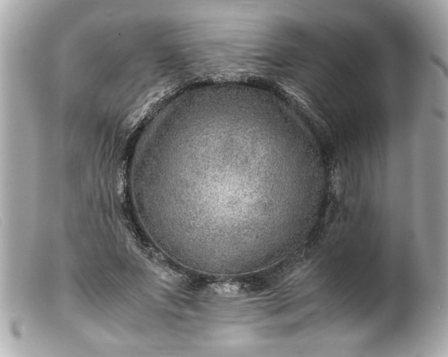 X0000099530687200805301440