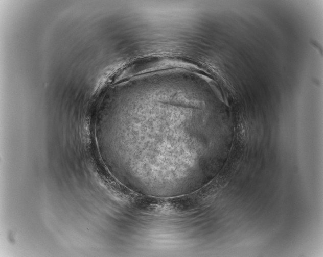 X0000099530688200805301440