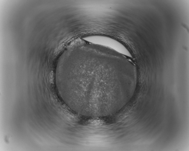 X0000099530689200805301440