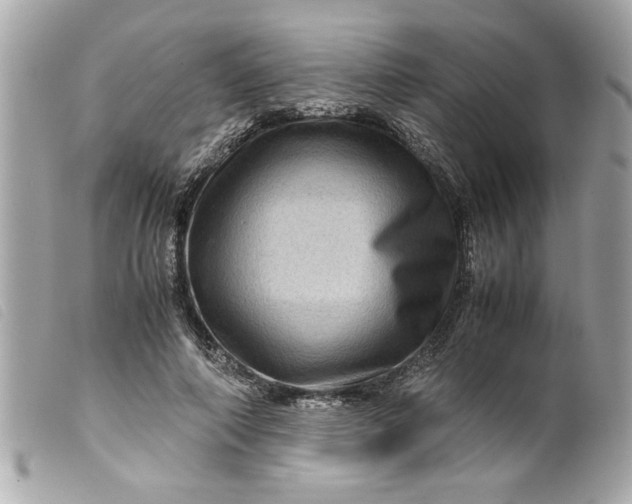 X0000099530690200805301440