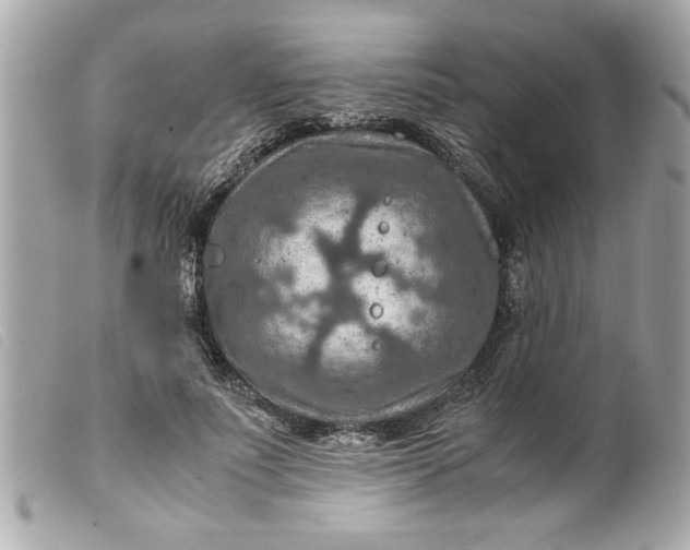 X0000099530691200805301440