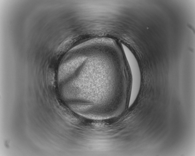 X0000099530693200805301440