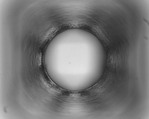 X0000099530694200805301440