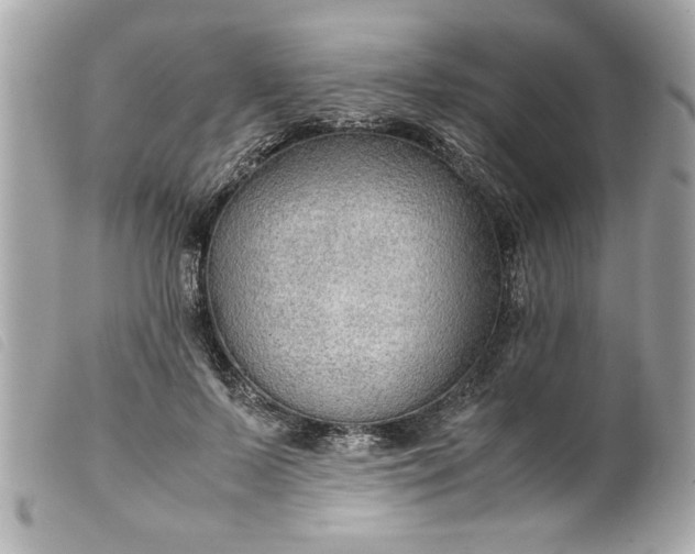 X0000099530695200805301440