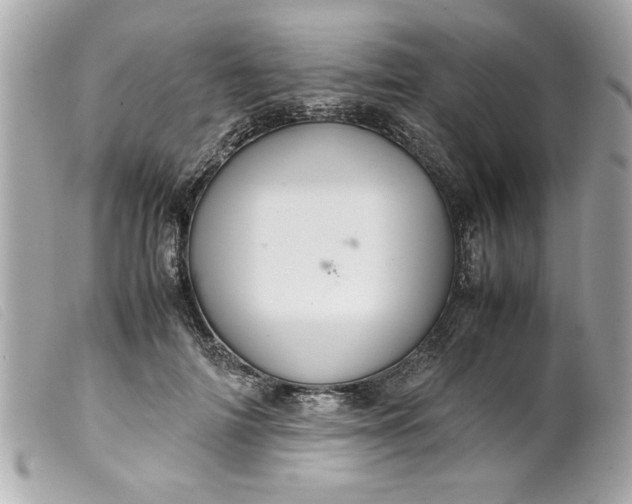 X0000099530698200805301440