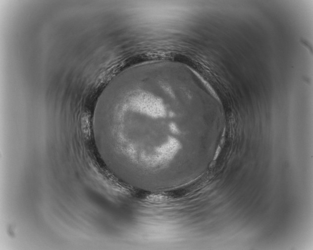 X0000099530699200805301440