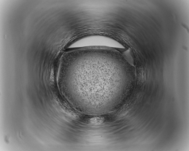 X0000099530700200805301440