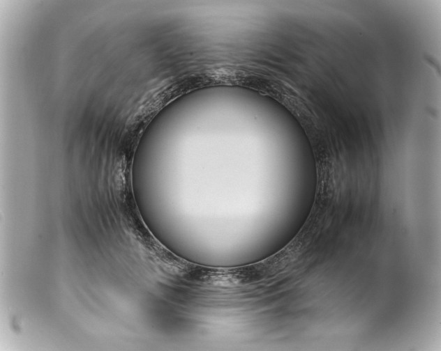 X0000099530702200805301440