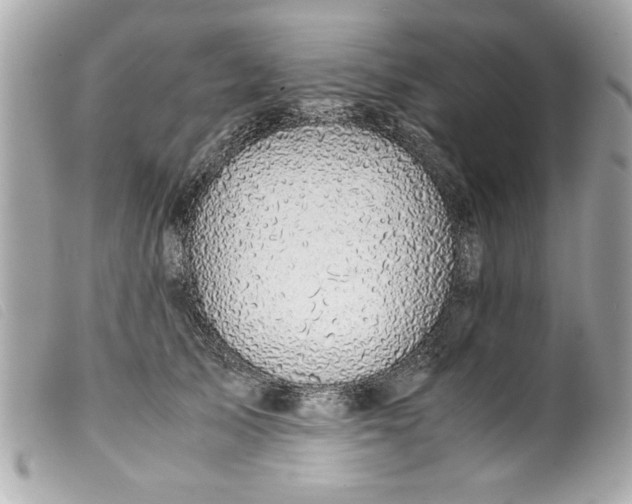 X0000099530705200805301440