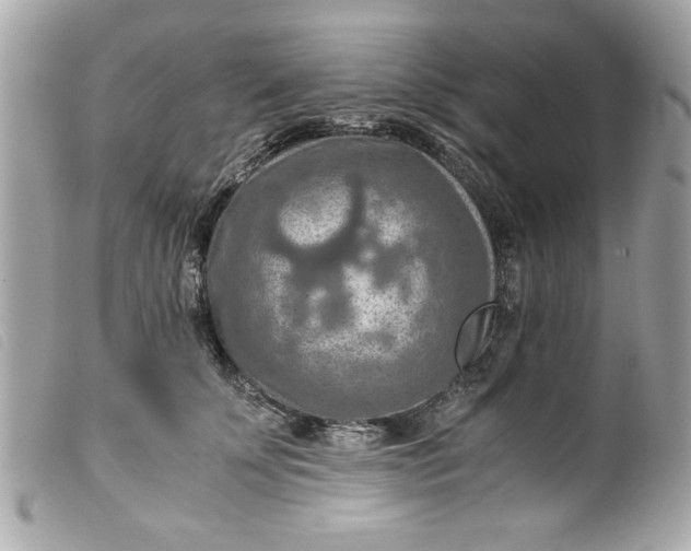 X0000099530707200805301440