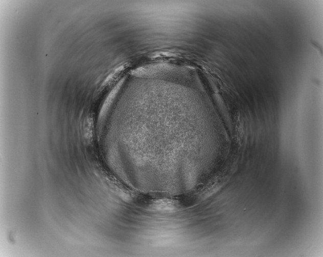 X0000099530708200805301440