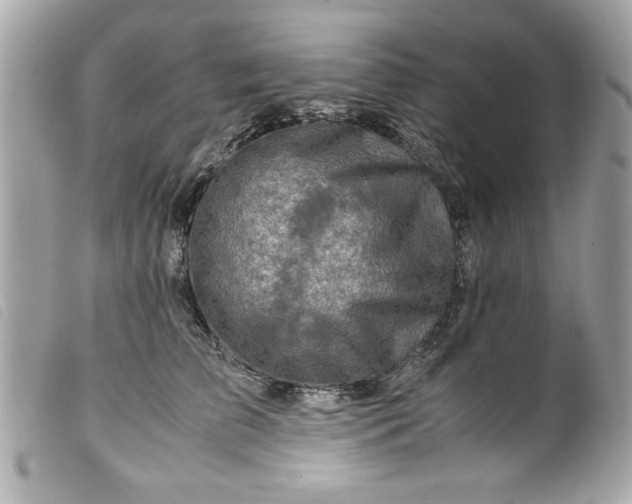 X0000099530709200805301440