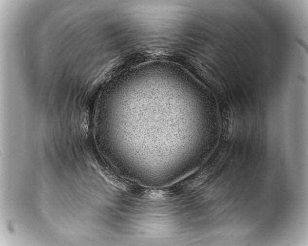 X0000099530710200805301440