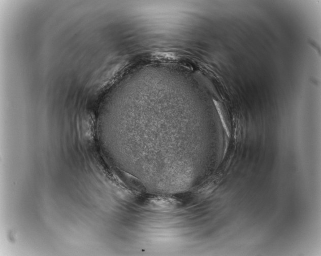 X0000099530712200805301440