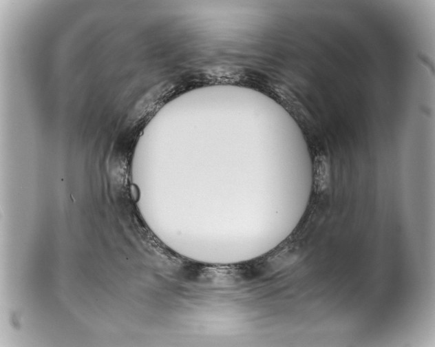 X0000099530713200805301440