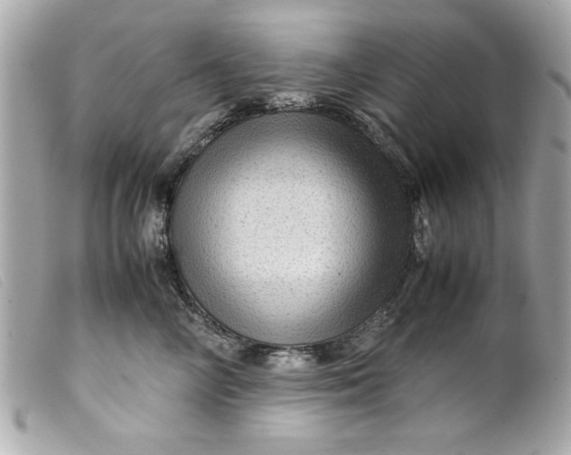 X0000099530714200805301440