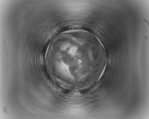 X0000099530715200805301440