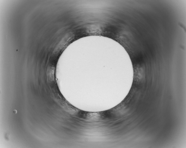 X0000099530717200805301440