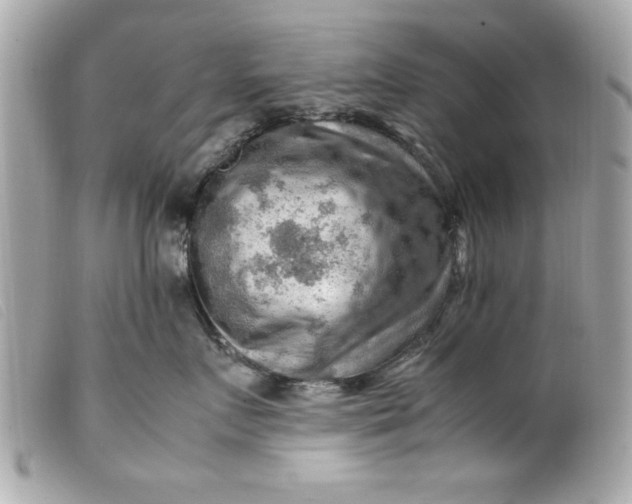 X0000099530719200805301440